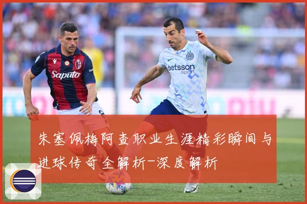 朱塞佩梅阿查职业生涯精彩瞬间与进球传奇全解析-深度解析