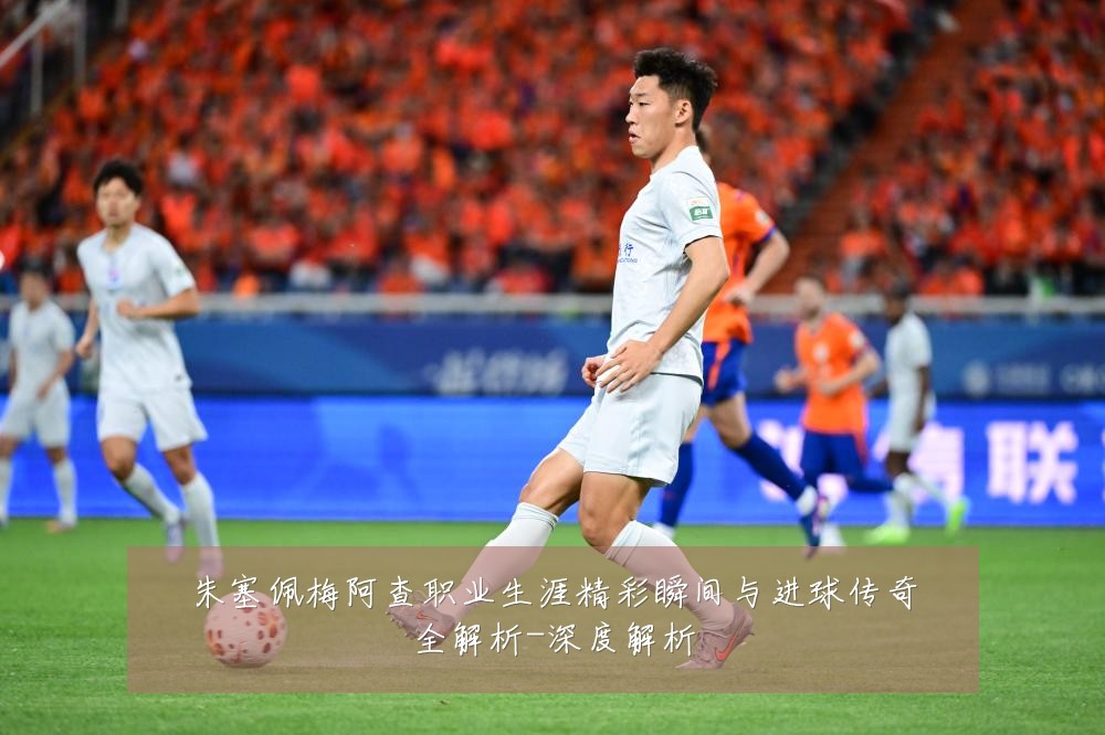 朱塞佩梅阿查职业生涯精彩瞬间与进球传奇全解析-深度解析