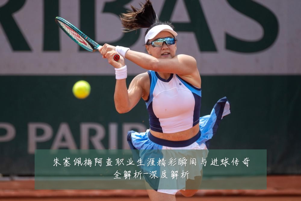 朱塞佩梅阿查职业生涯精彩瞬间与进球传奇全解析-深度解析