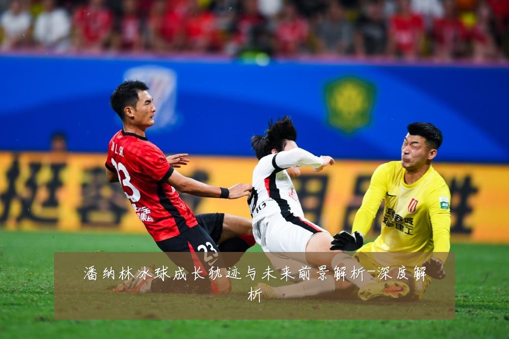 潘纳林冰球成长轨迹与未来前景解析-深度解析